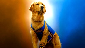 Air Bud in new 2027 movie.