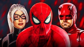 Spider-Man, Daredevil, Black Cat