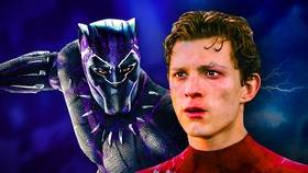 Spider-Man Peter Parker and Black Panther