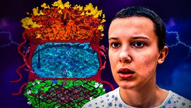 Stranger Things Eleven, Hawkins upside down Map