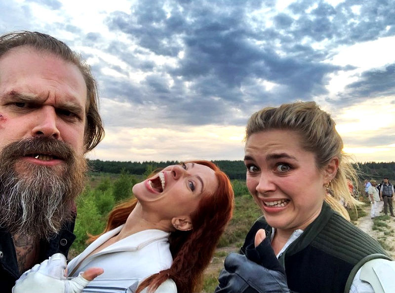 David Harbour Instagram