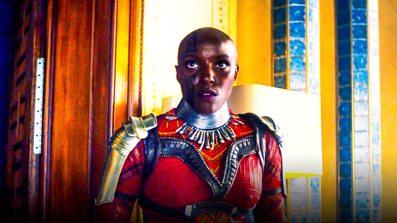 Falcon and Winter Soldier Dora Milaje