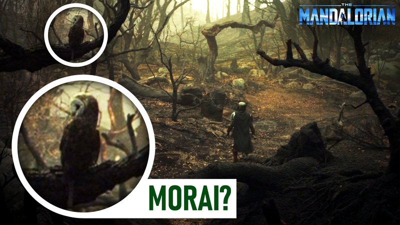 Morai Easter Egg from The Mandalorian