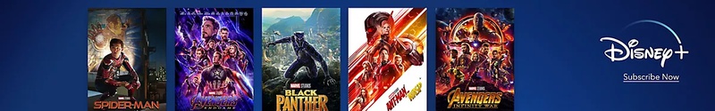 Disney+ Banner Ad