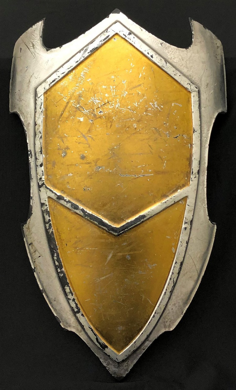 Lady Sif's Shield Movie Prop from Thor